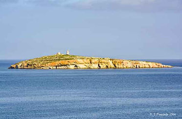 MAL_DSC1342-W.jpg