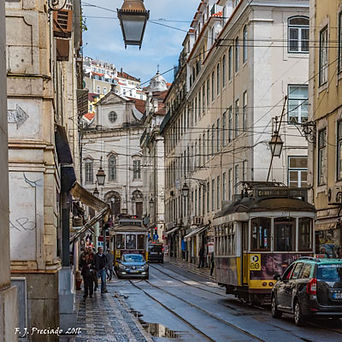 LIS_DSC1058-W.jpg