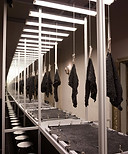 Bart-Hess-recruits-public-to-create-besp