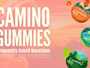 Camino Gummies | FAQs about the Best-Selling Edibles