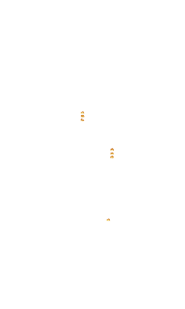 d2o_level3-top-fire.gif