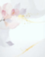 Magnolia Market 5x2 (2)_edited.jpg