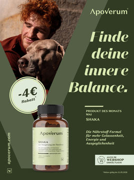 Finde deine innere Balance