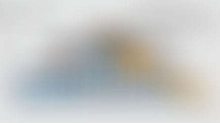 ギックス（9219・東証グロース）：大規模開発案件のコスト超過により一転して損失計上