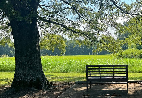 bench_photo.jpg