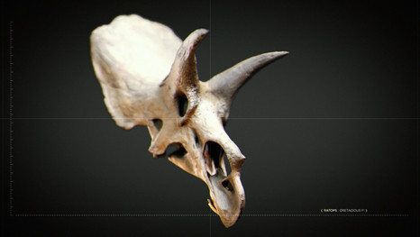 DINO_DIAGRAMMATIC_CONCEPT_01 (0;00;00;16