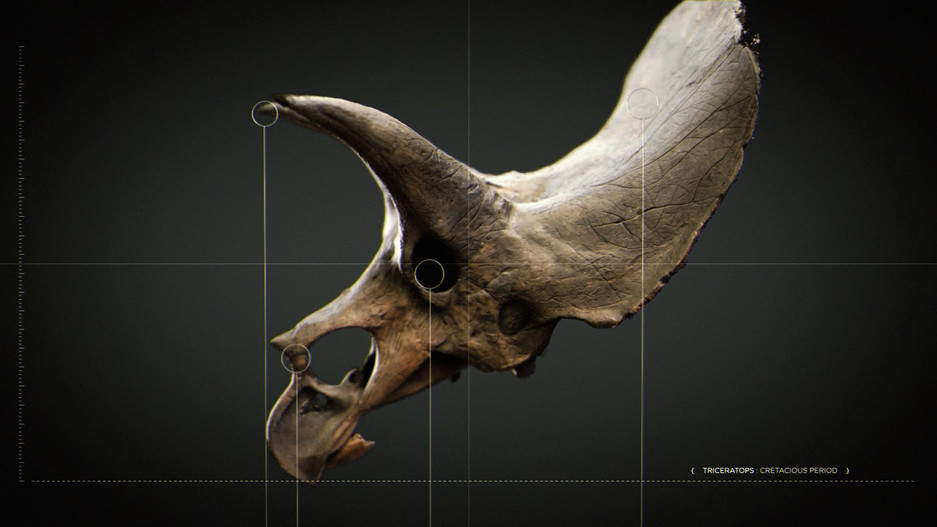 DINO_DIAGRAMMATIC_CONCEPT_01 (0;00;03;00