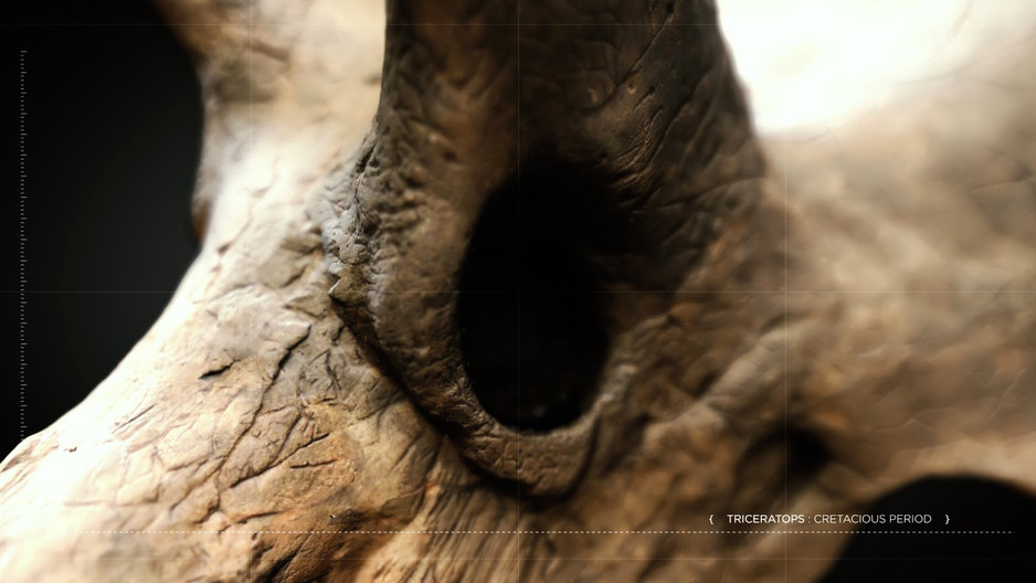 DINO_DIAGRAMMATIC_CONCEPT_03 (0;00;00;00
