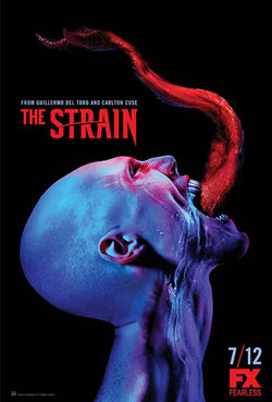 strain2