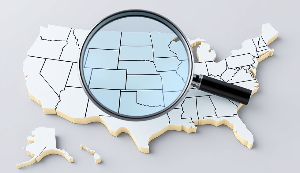 Considering the Most Suitable State for Incorporation