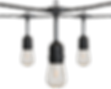String Light_Main Image_Positive.png