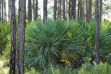 DSC05395.JPG