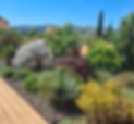les-lianes-grimpantes-photo-jardin-sur-pouzzolane
