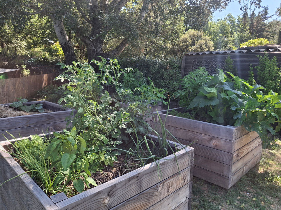 bacs potagers en bois