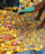 cashew apple juice