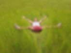 Lawn
