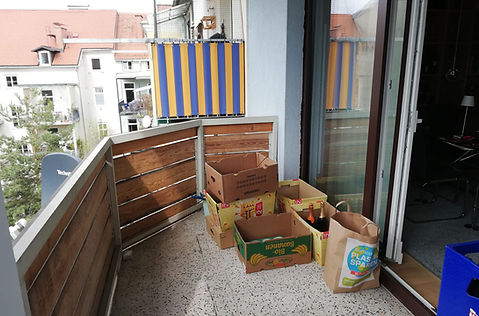 balcony before neighbours view.jpeg