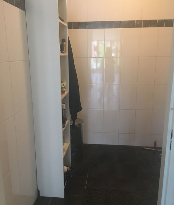 Before Renovation Photo: A snapshot of the space prior to transformation.