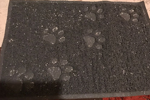 Cat Scratch Litter Pad