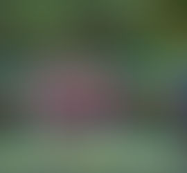 Yani Alexis Pérez: "el rugby te saca emociones y te hace una mejor persona"