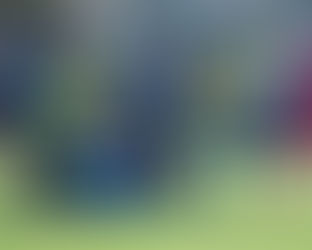 Pablo Llanos: lealtad bajo el escudo de Fénix