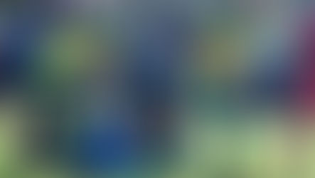 Pablo Llanos: lealtad bajo el escudo de Fénix 