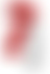 Questions orales du conseil municipal du 24 Juin avec les réponses du maire et nos commentaires.