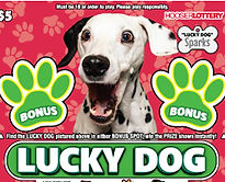 [[1.00000000e+05 1.00000000e+00 3.00000000e+00 1.42726667e+06
  7.00639918e-02 1.74426100e+06 5.73308696e-02]
 [2.50000000e+03 1.20000000e+01 3.60000000e+01 1.18938889e+05
  2.10191975e-02 1.45355083e+05 1.71992609e-02]
 [5.00000000e+02 2.85000000e+02 7.13000000e+02 6.00532959e+03
  8.32593769e-02 6.12021404e+03 8.16964892e-02]
 [2.00000000e+02 5.80000000e+02 1.42700000e+03 3.00056062e+03
  6.66542108e-02 3.00734655e+03 6.65038088e-02]
 [1.00000000e+02 2.88500000e+03 7.10600000e+03 6.02561216e+02
  1.65958242e-01 6.04596534e+02 1.65399559e-01]
 [5.00000000e+01 8.45600000e+03 2.07100000e+04 2.06750362e+02
  2.41837545e-01 2.06274953e+02 2.42394917e-01]
 [2.50000000e+01 3.48850000e+04 8.56360000e+04 5.00000000e+01
  5.00000000e-01 5.00003153e+01 4.99996847e-01]
 [2.00000000e+01 7.41200000e+04 1.81950000e+05 2.35328387e+01
  8.49876220e-01 2.35329331e+01 8.49872811e-01]
 [1.00000000e+01 1.61349000e+05 3.96079000e+05 1.08104696e+01
  9.25029193e-01 1.08104853e+01 9.25027848e-01]
 [5.00000000e+00 1.83181000e+05 4.49670000e+05 9.52209398e+00
  5.25094586e-01 9.52206288e+00 5.25096302e-01]]