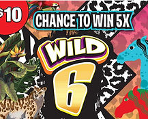 Wild 6