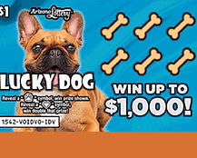 lucky-dog