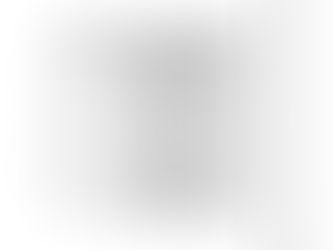 What is the purpose of a Spring Hinge