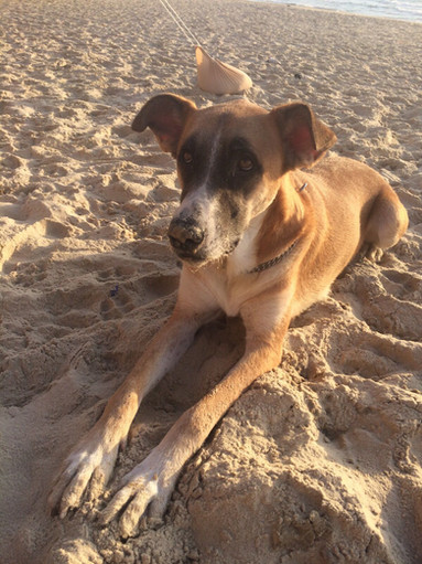 מונה מוצאת שלווה ומפסיקה להתגרד