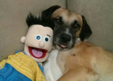 תוקפנות מתוך חרדה - הסיפור של קאי