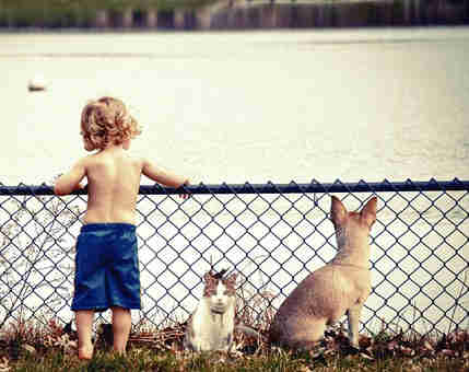 טיפים טבעיים לטיפול בכלבים