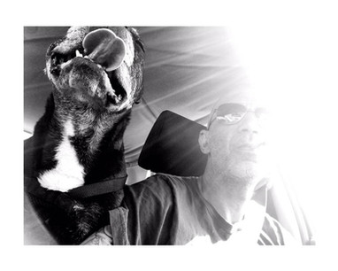 שלווה עוברת דירה