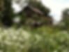 photo3jpg.jpg