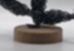 Thumbnail: Iris