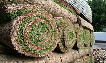 Rolled Sod Stacks