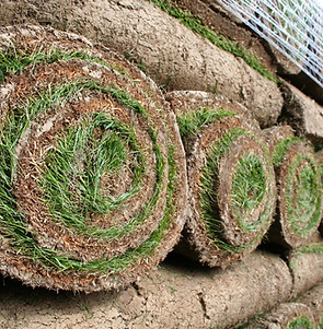 Rolled Sod Stacks