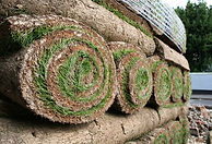Rolled Grass