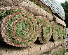 Rolled Grass