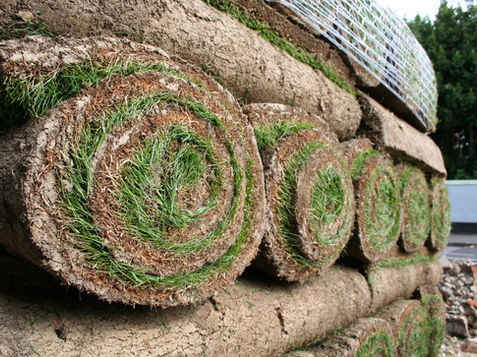 Rolled Grass