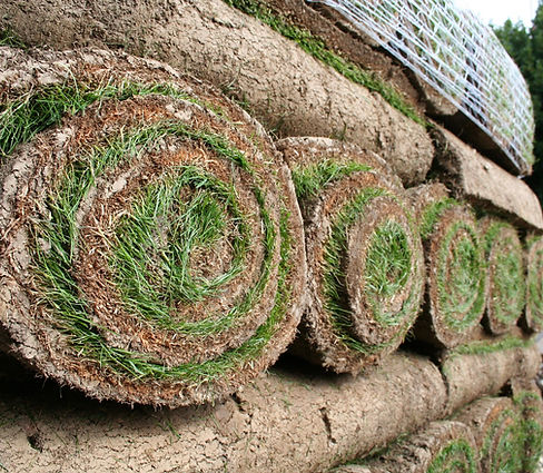 Rolled Grass