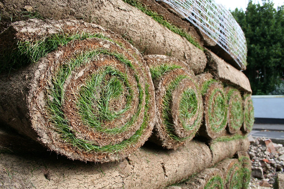 Rolled Sod Stacks