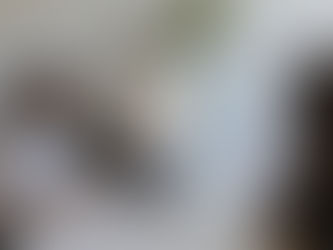 Where Hope Showed Up This Summer