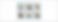 2024 Junior memory game. Winter dogs.jpg