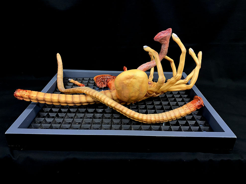 サムネイル： Alien Facehugger Damage Version Wall-Hanger 1:1 Studio scale