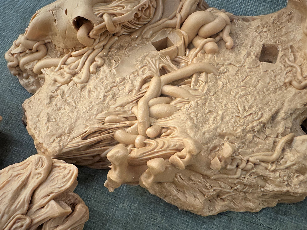 Thumbnail: Failed Guyver Renewal 1:6 Resin Model CryBag x O.C.