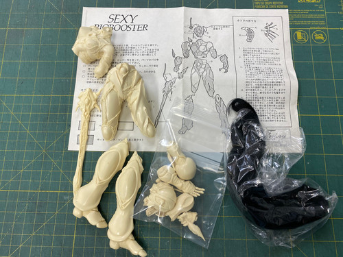 SEXY BIO BOOSTER 1:6 resin model セクシーバイオブースター 強殖装甲