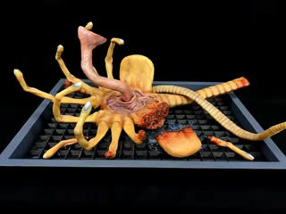 サムネイル： Alien Facehugger Damage Version Wall-Hanger 1:1 Studio scale
